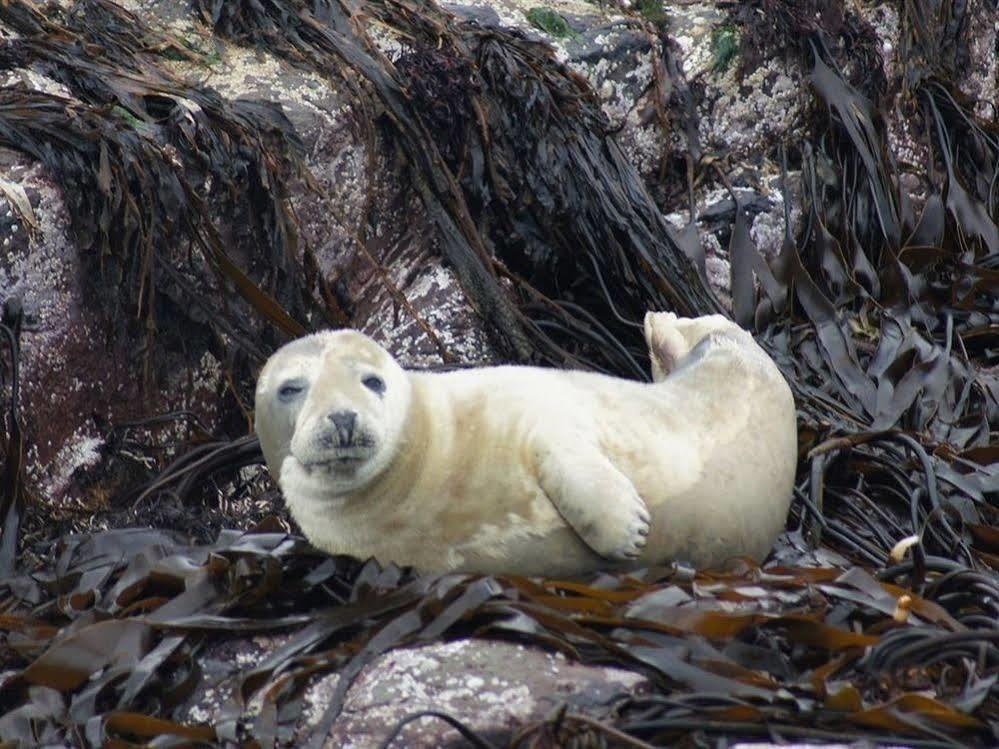 Farne Island Rooms Seahouses Bagian luar foto