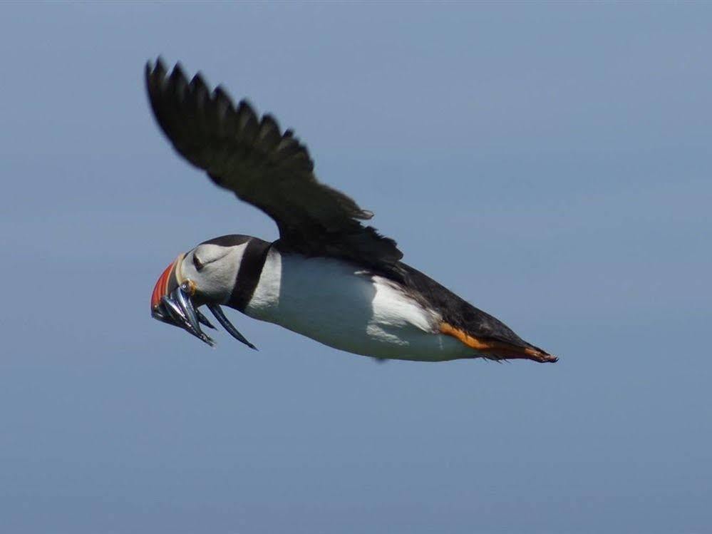 Farne Island Rooms Seahouses Bagian luar foto